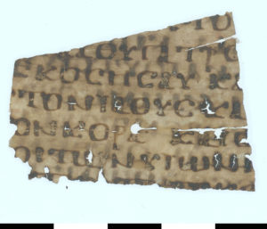 Vorderseite des Papyrusfragments mit sieben Zeilenresten in griechischer Schrift